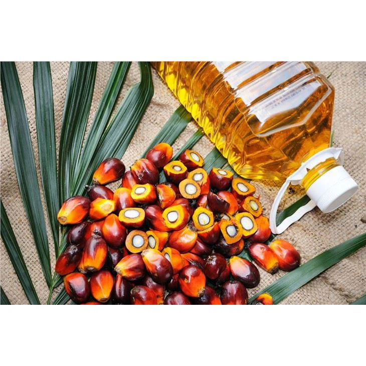 Ligne de production d'huile de palme